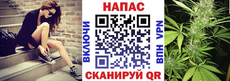 Где купить Багратионовск Галлюциногенные грибы  ГАШ  Каннабис  Alpha-PVP 