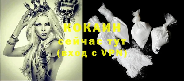 молекула духа Горнозаводск