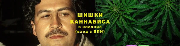 ECSTASY Горняк