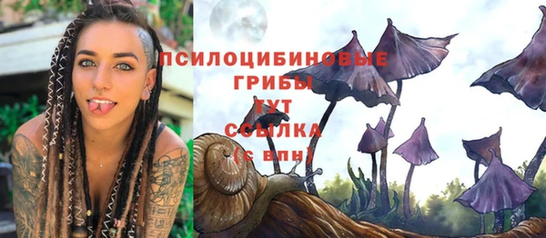 ешки Алзамай